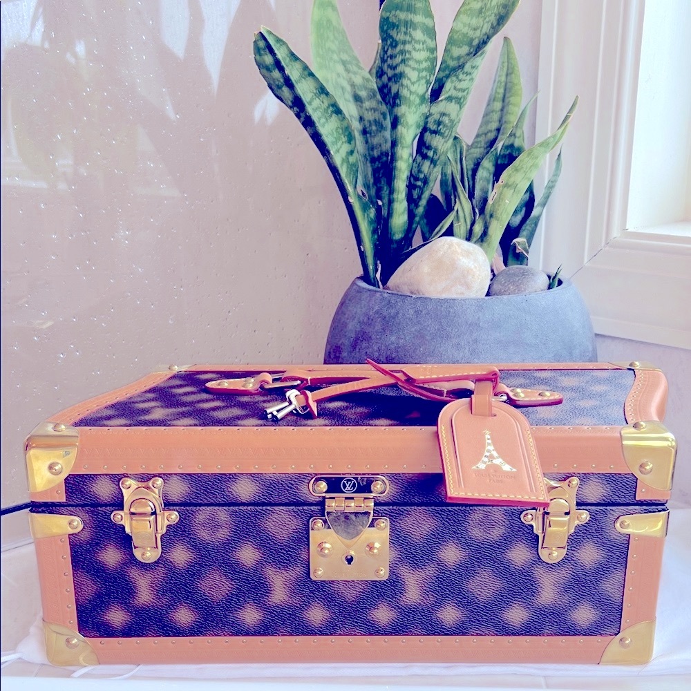 Louis Vuitton Rare Wavy blurry jewelry trunk
